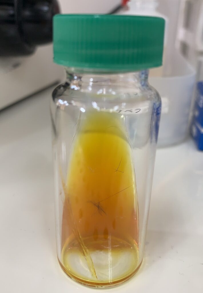 真菌培養キットに幹部の毛を乗せた状態の写真